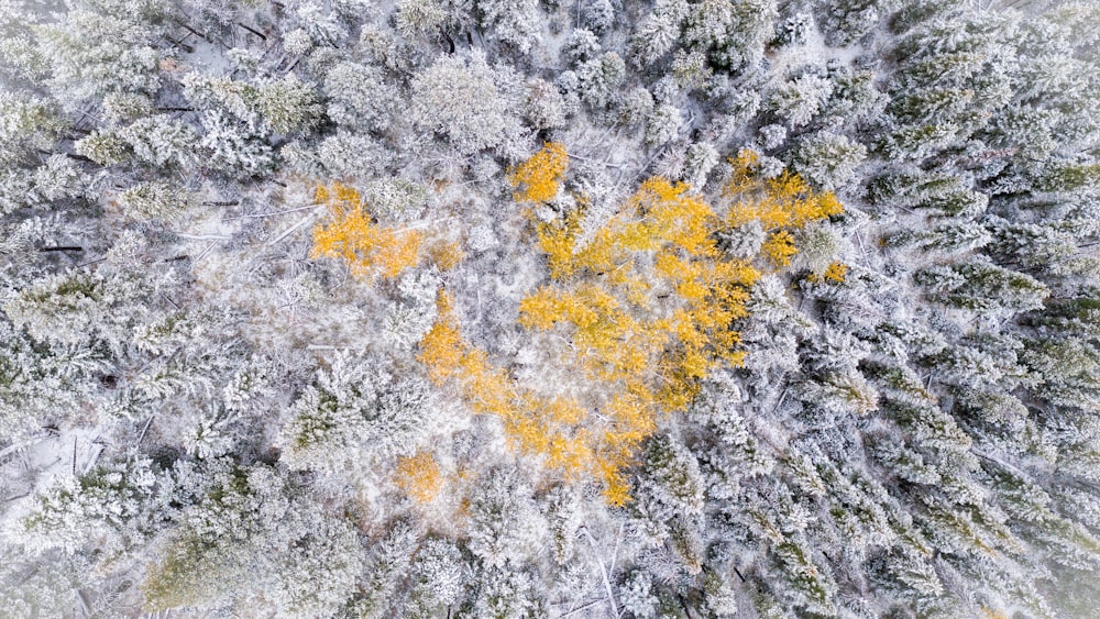 a close up of some snow