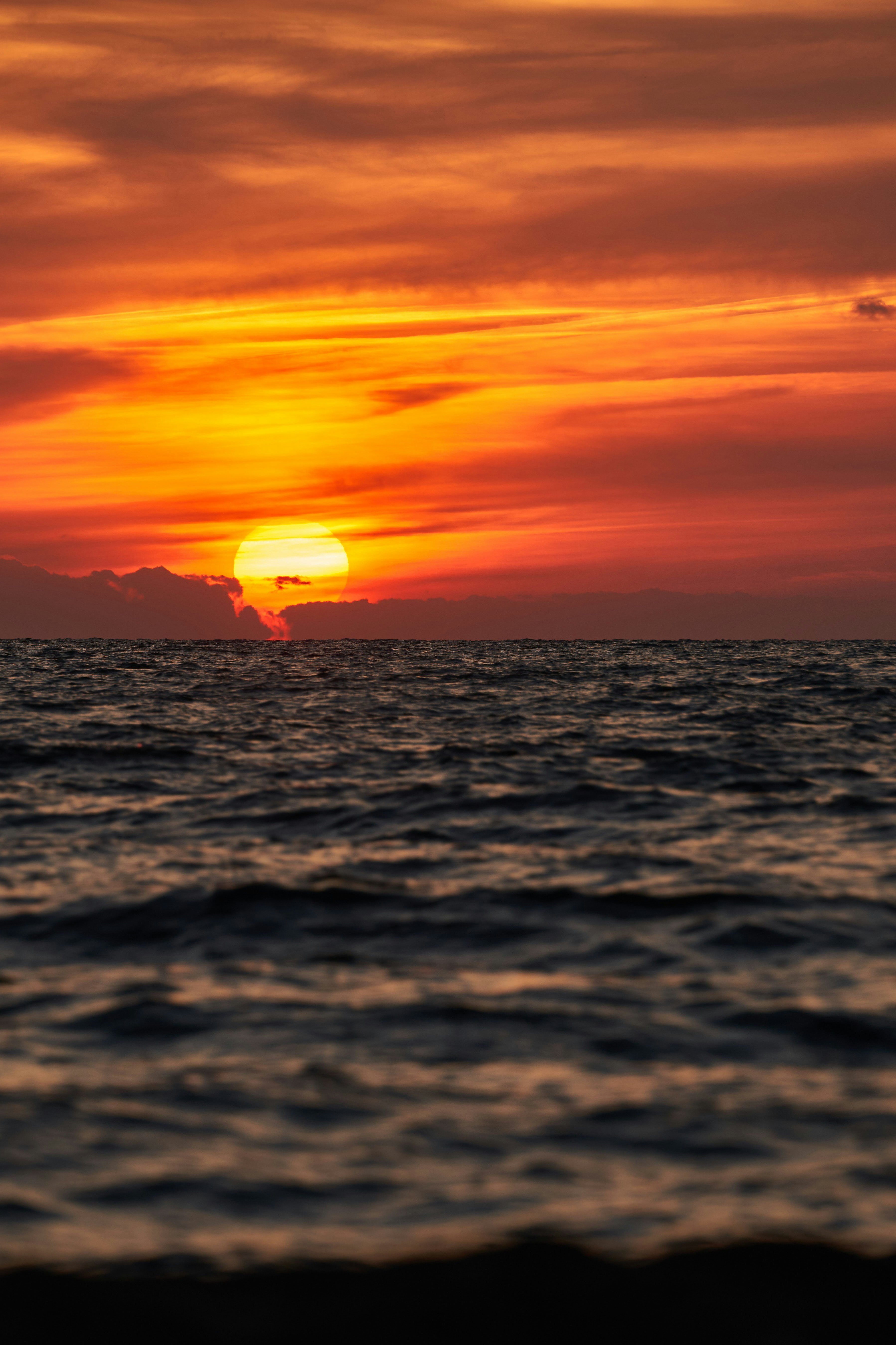 Photo by wolfgang_hasselmann