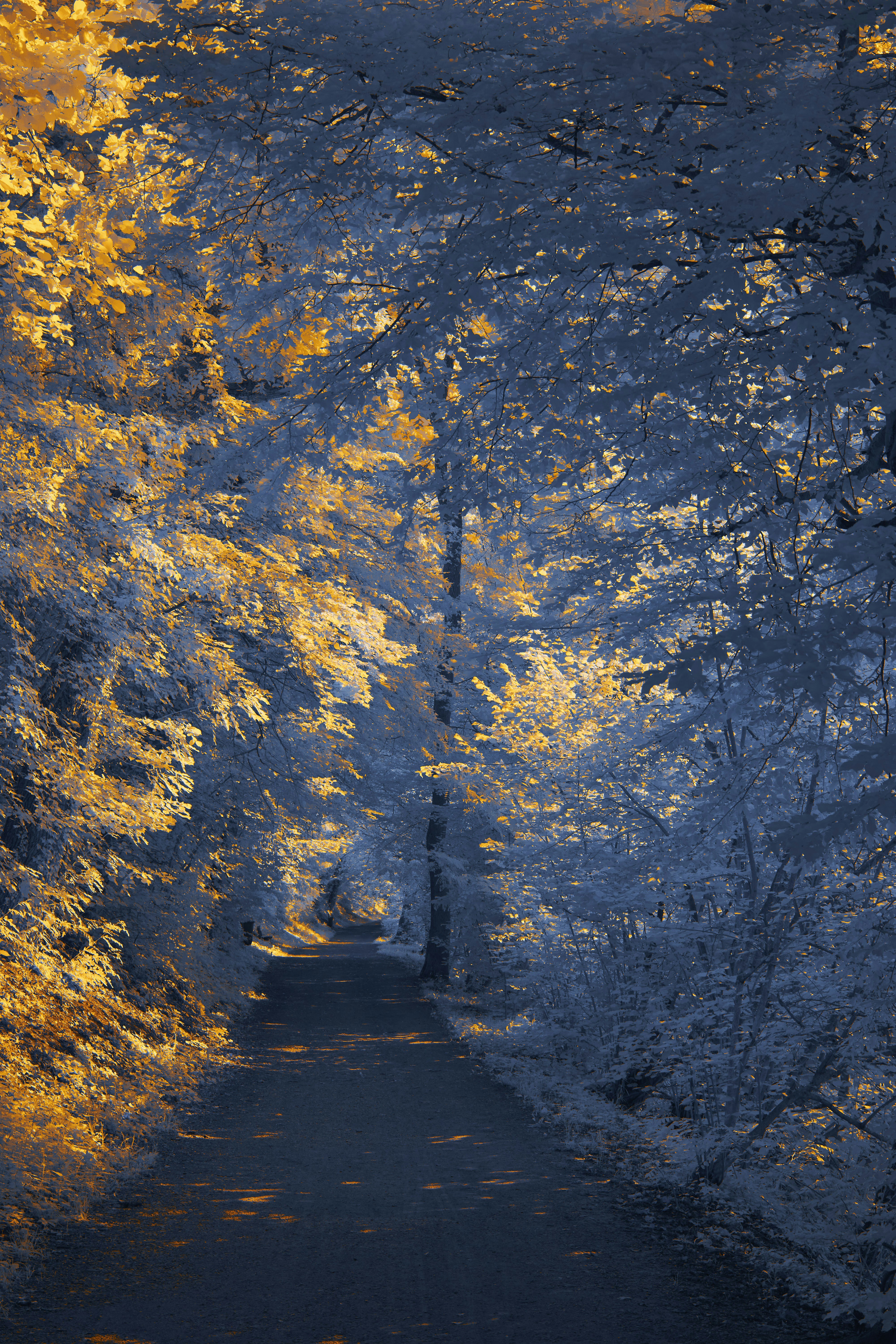 Photo by wolfgang_hasselmann