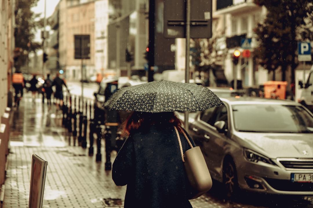 a person walking down a sidewalk with an umbrella, Rainy Days