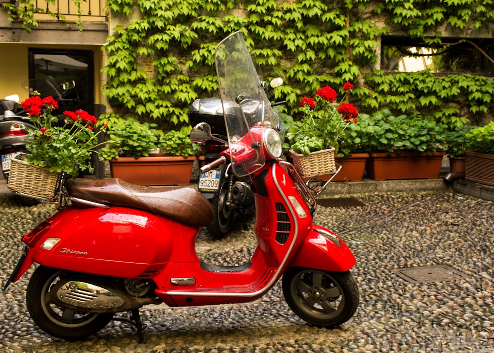 a red scooter parked on the street