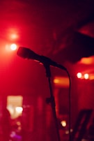 A microphone set up in a warm, inviting studio.