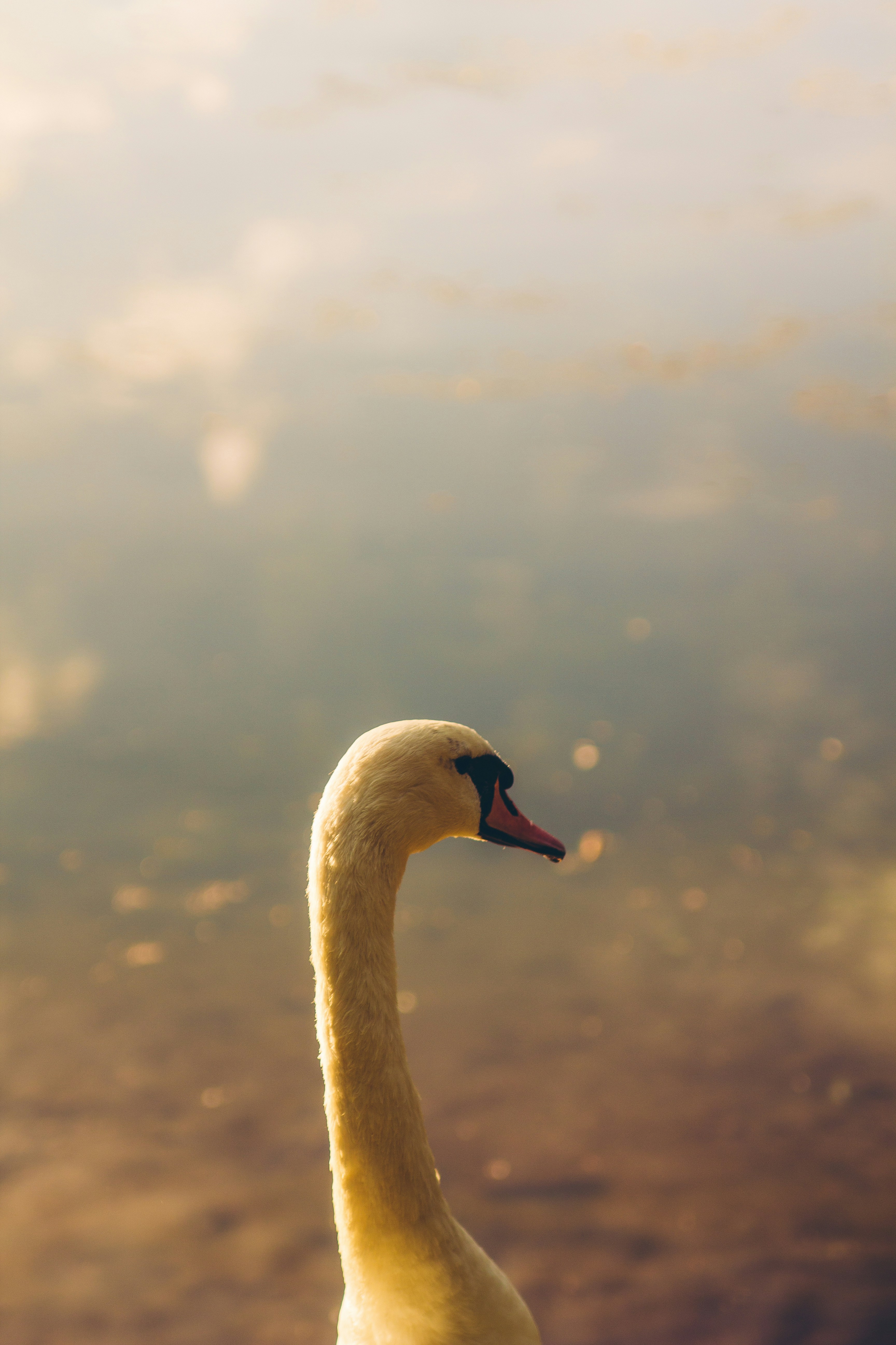 Photo by sam_badmaeva