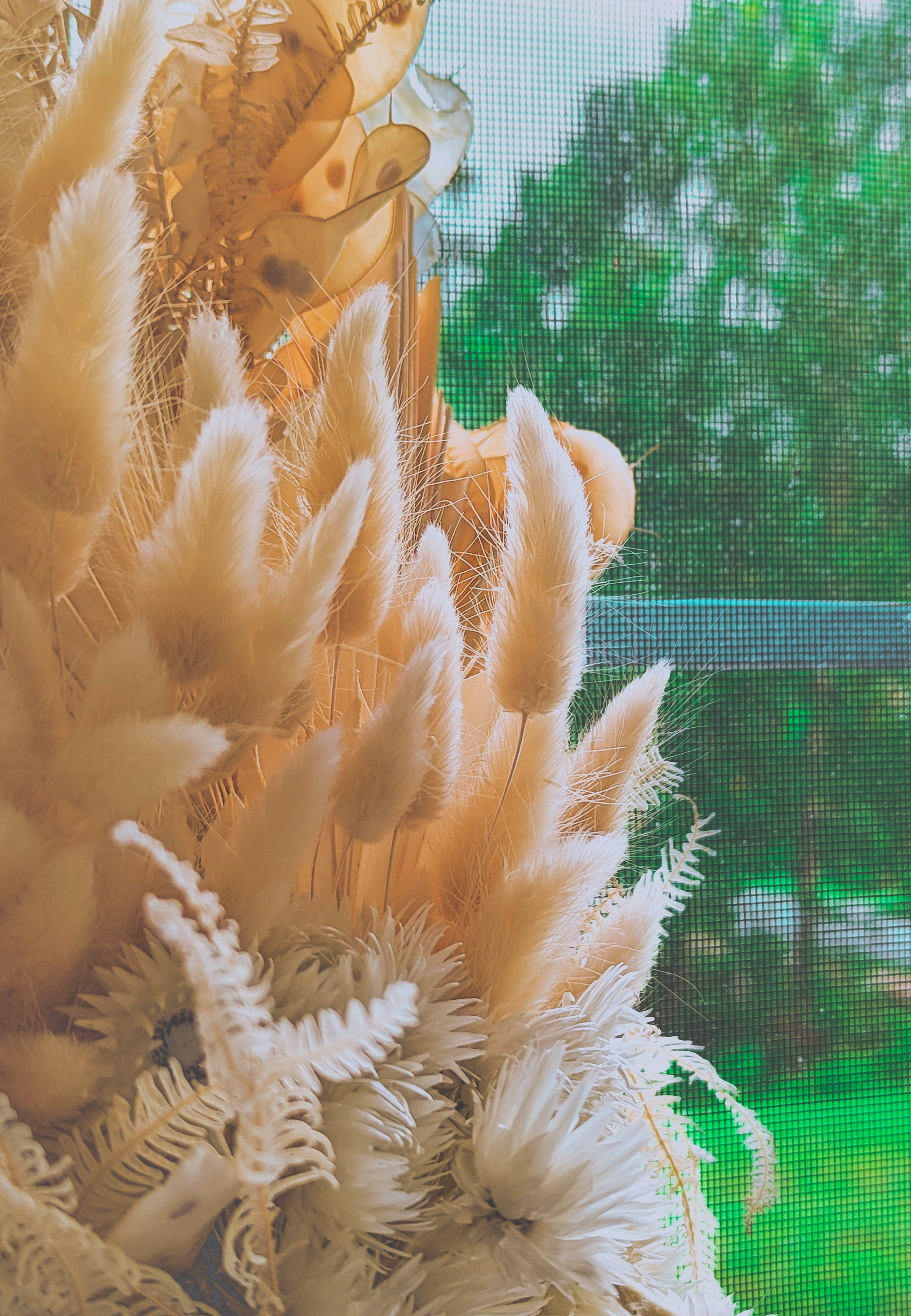 Photo by obionyeador