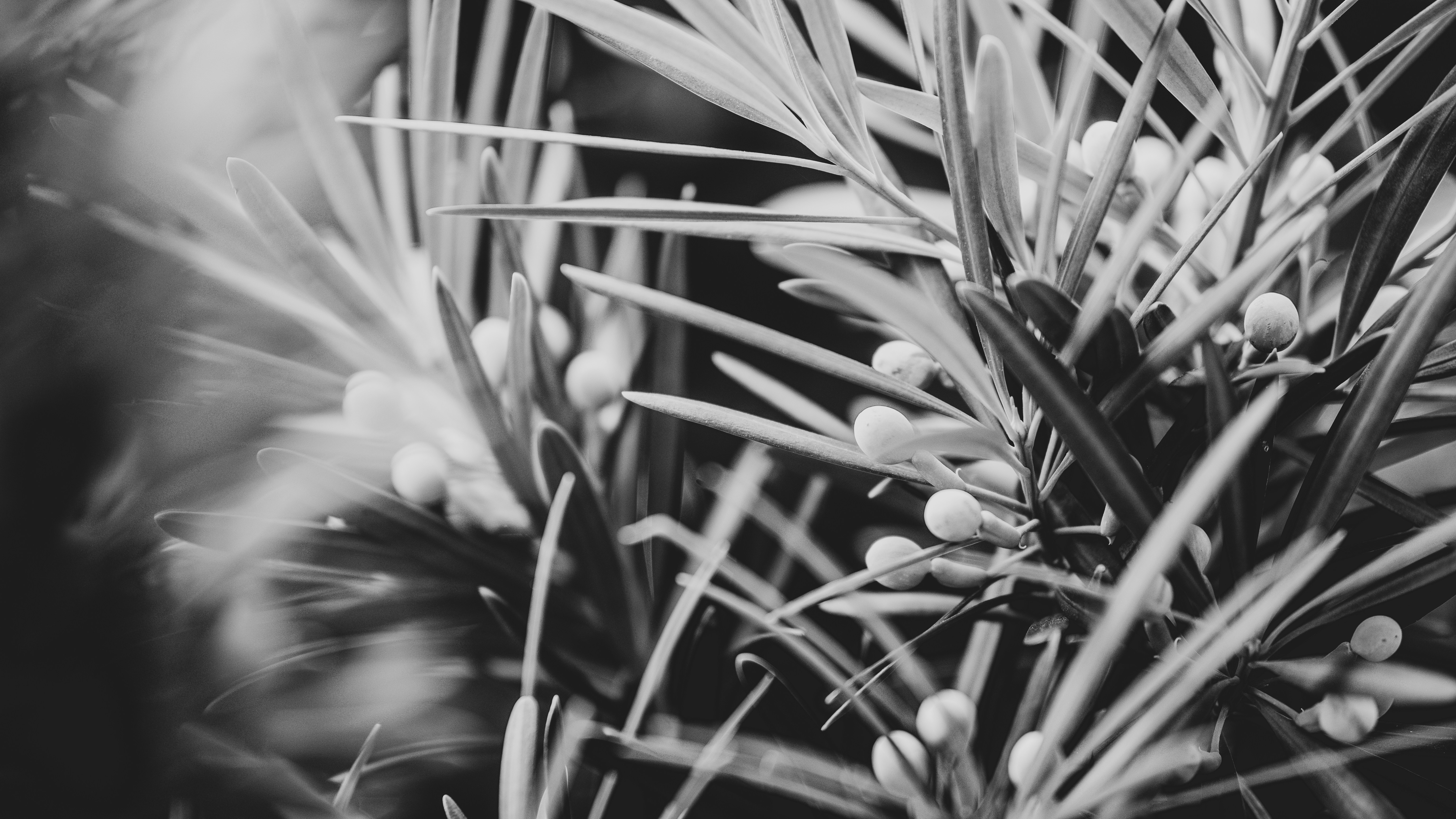 Photo by joseph_royer