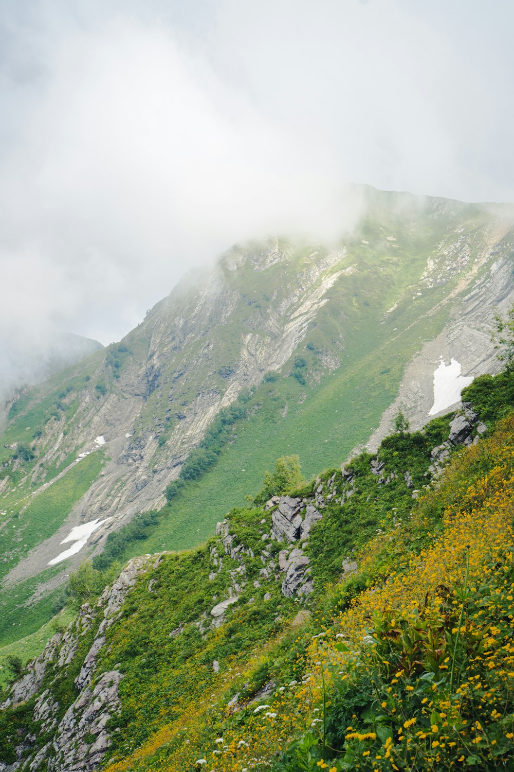 Une colline herbeuse avec des arbres et des fleurs