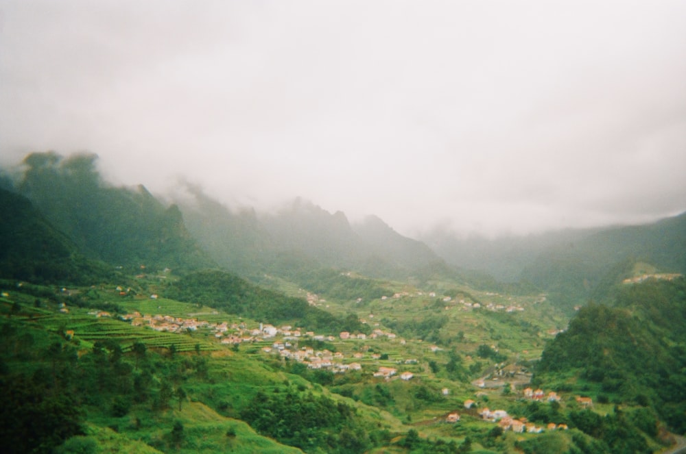 a valley with trees and hills