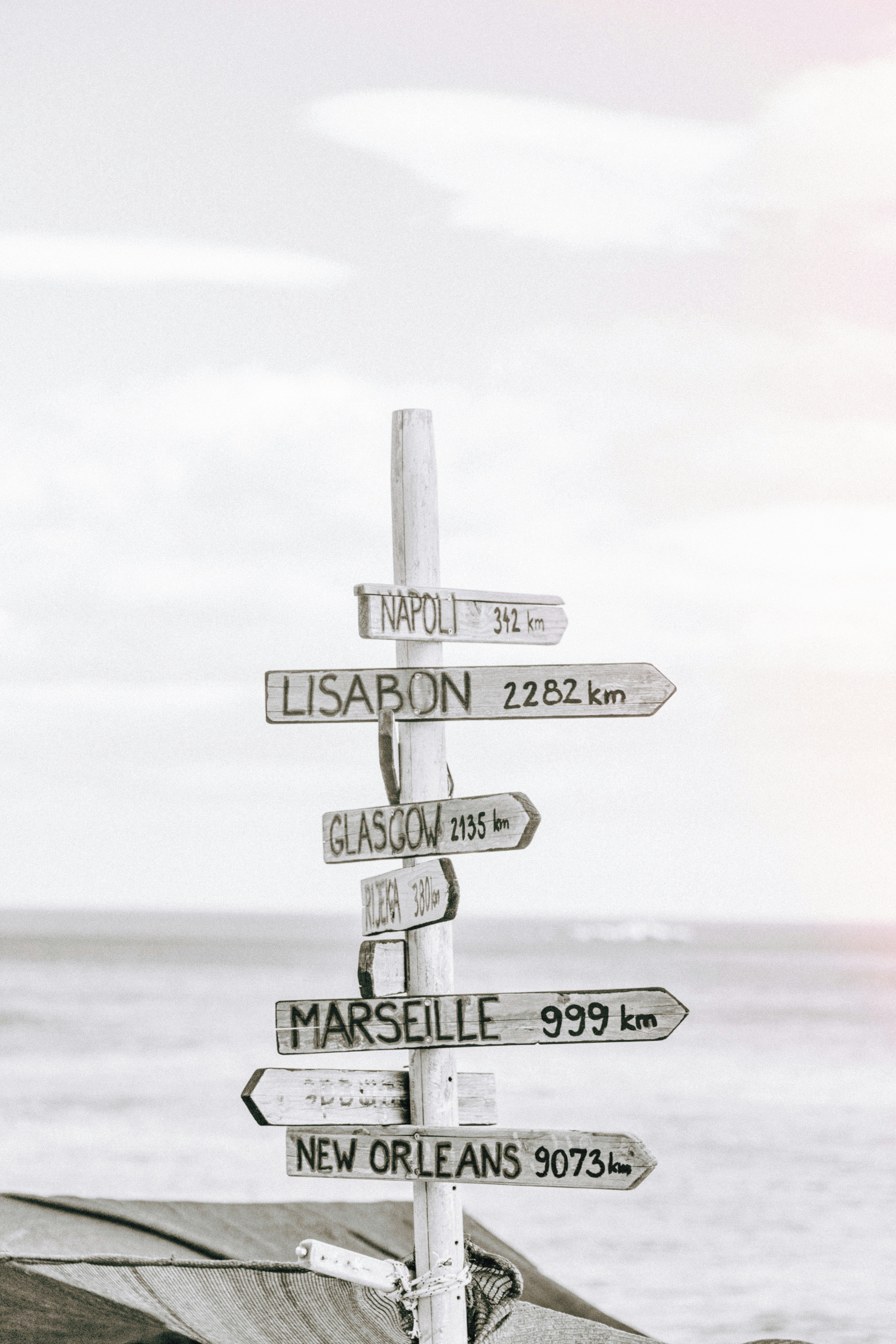 Day 11: Machu Picchu Sunrise and Exploration