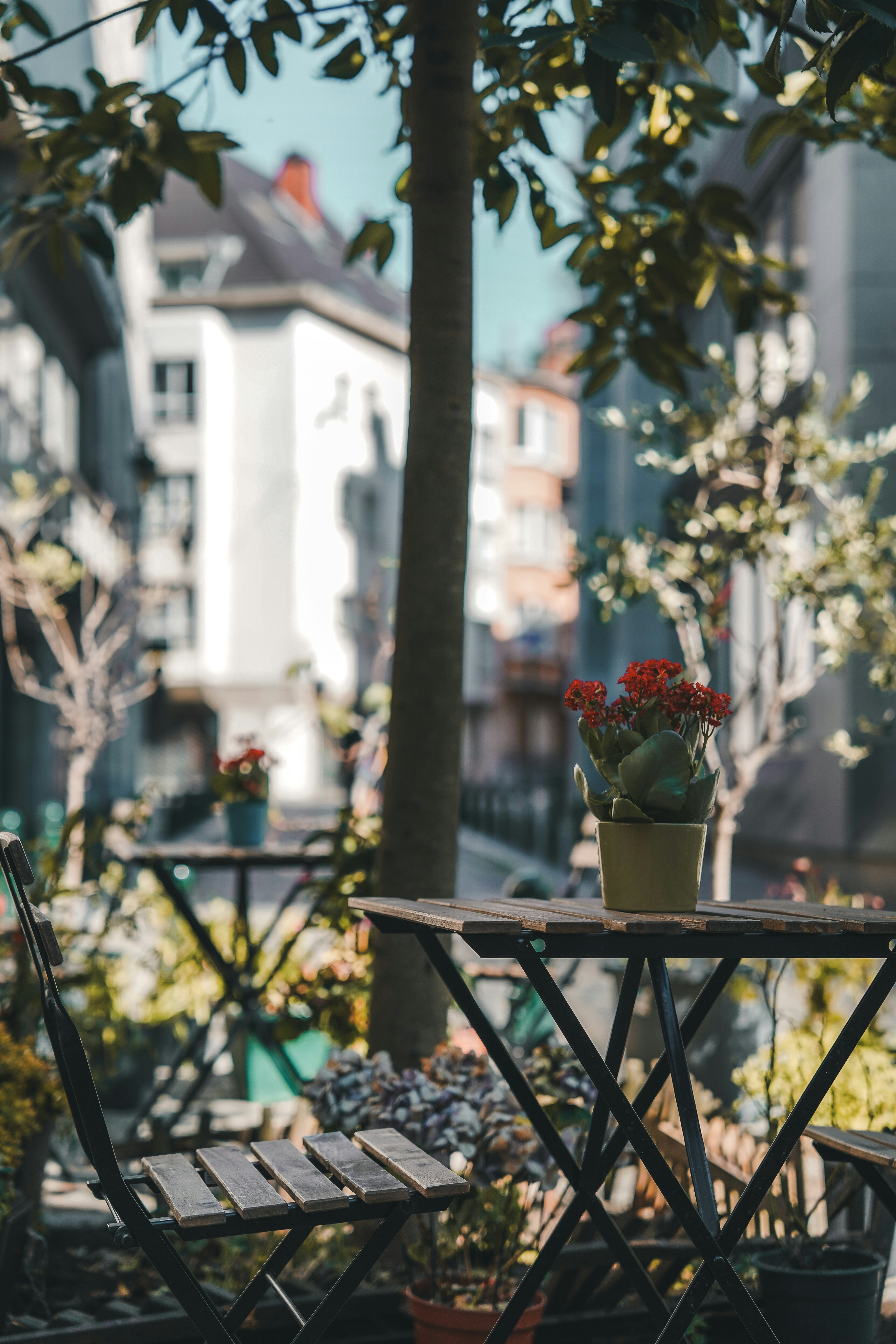 Photo by kevin_charit