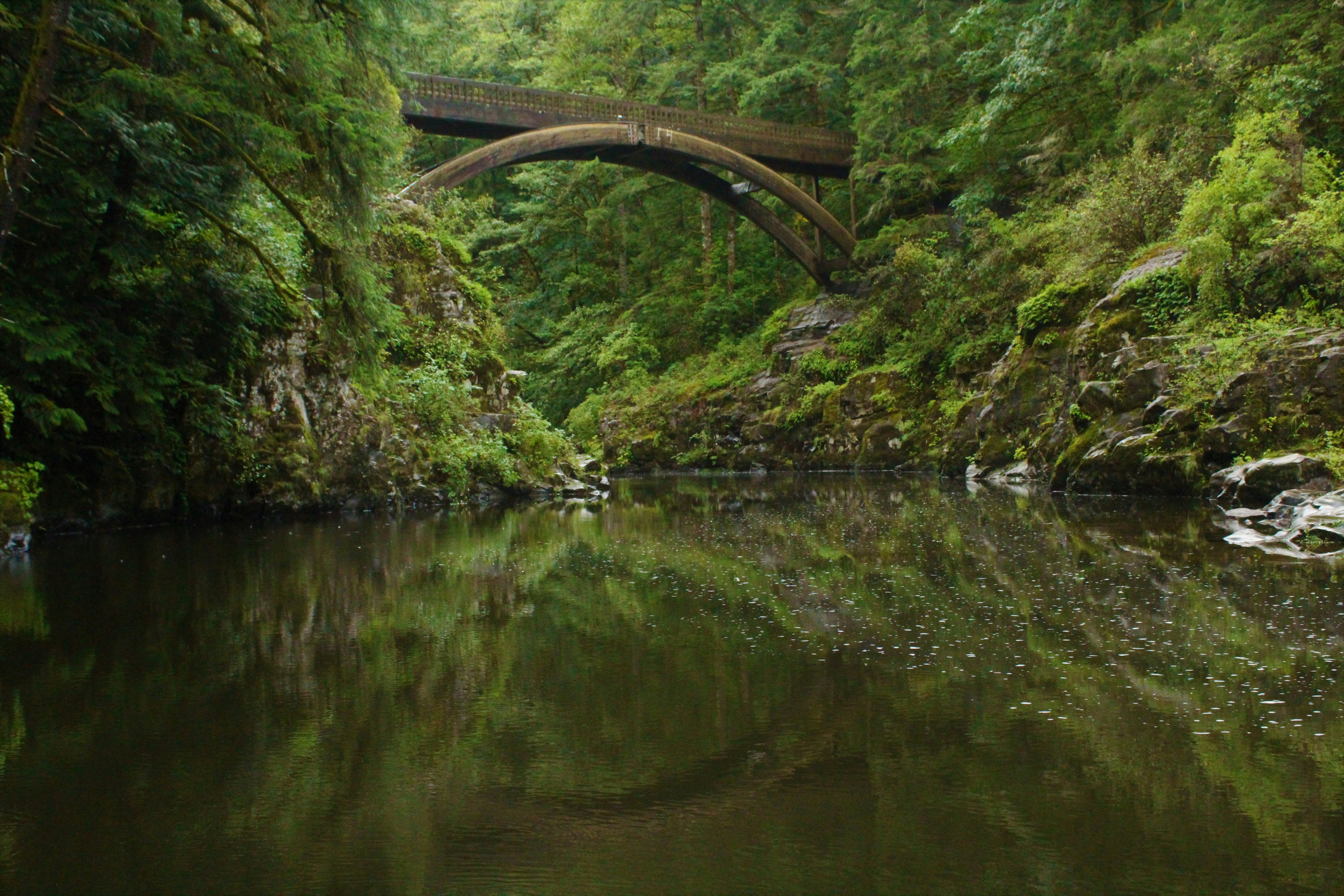 Photo by kalebmcbain