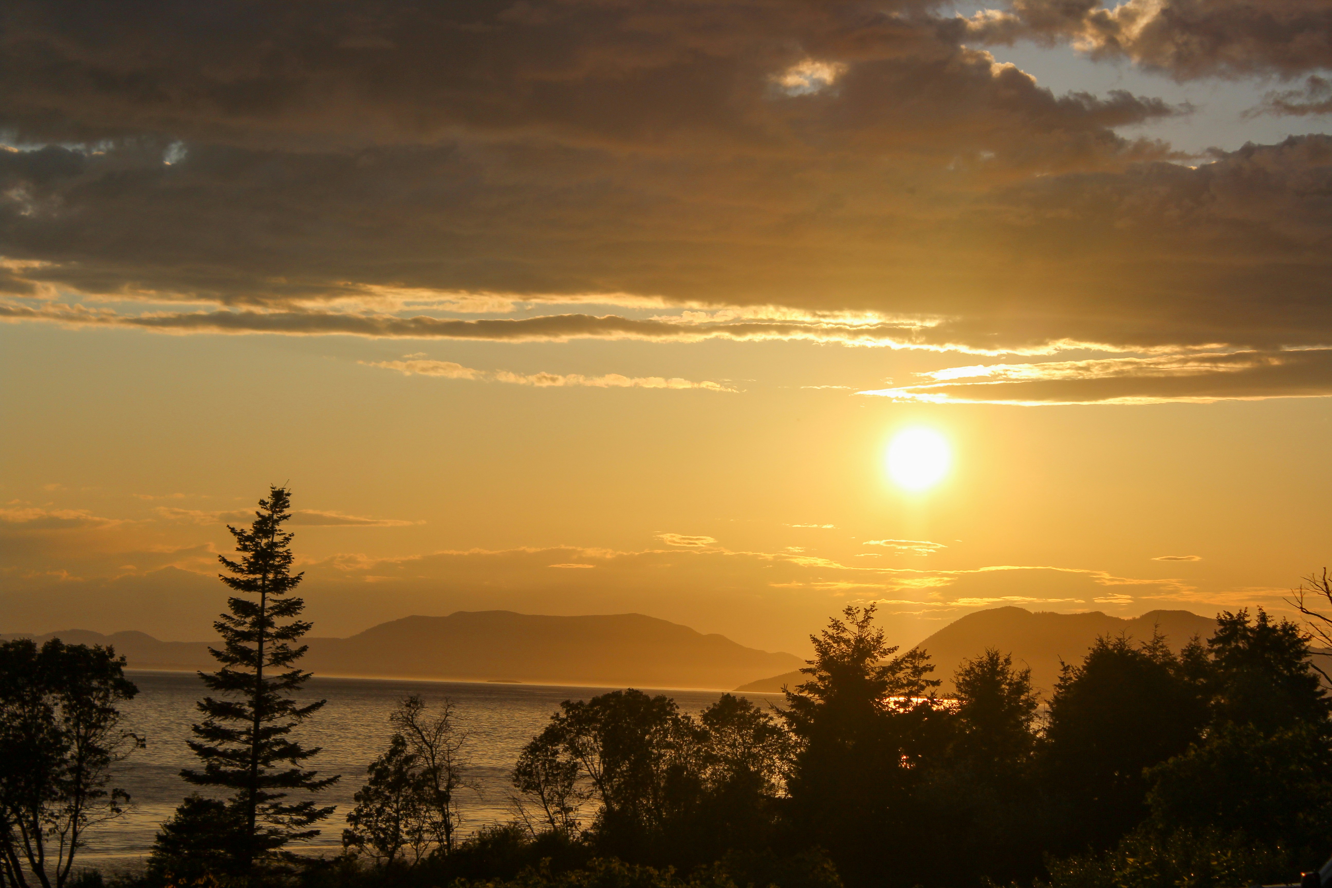 Photo by kalebmcbain