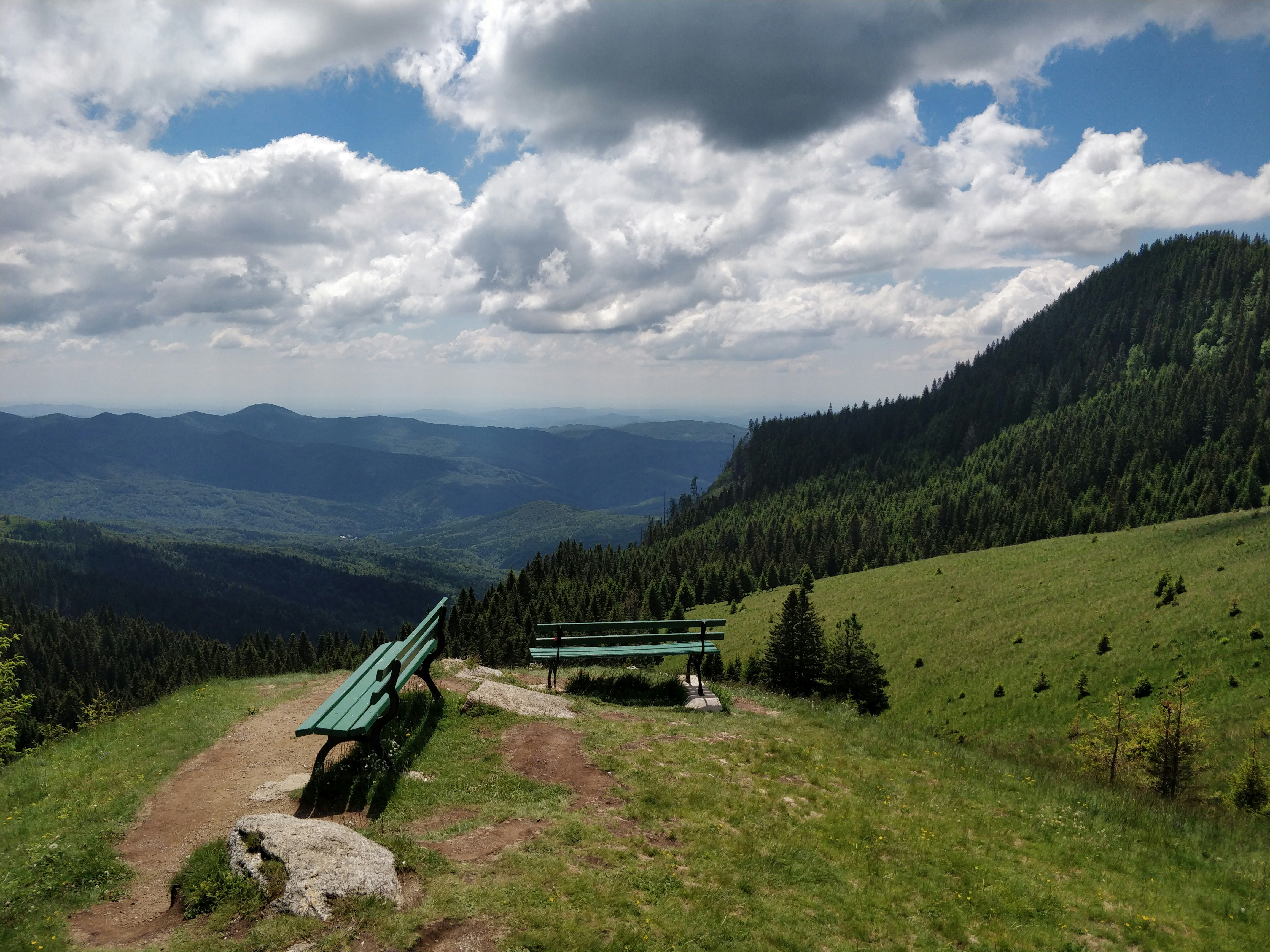 Park Angielski na Górze Zamkowej