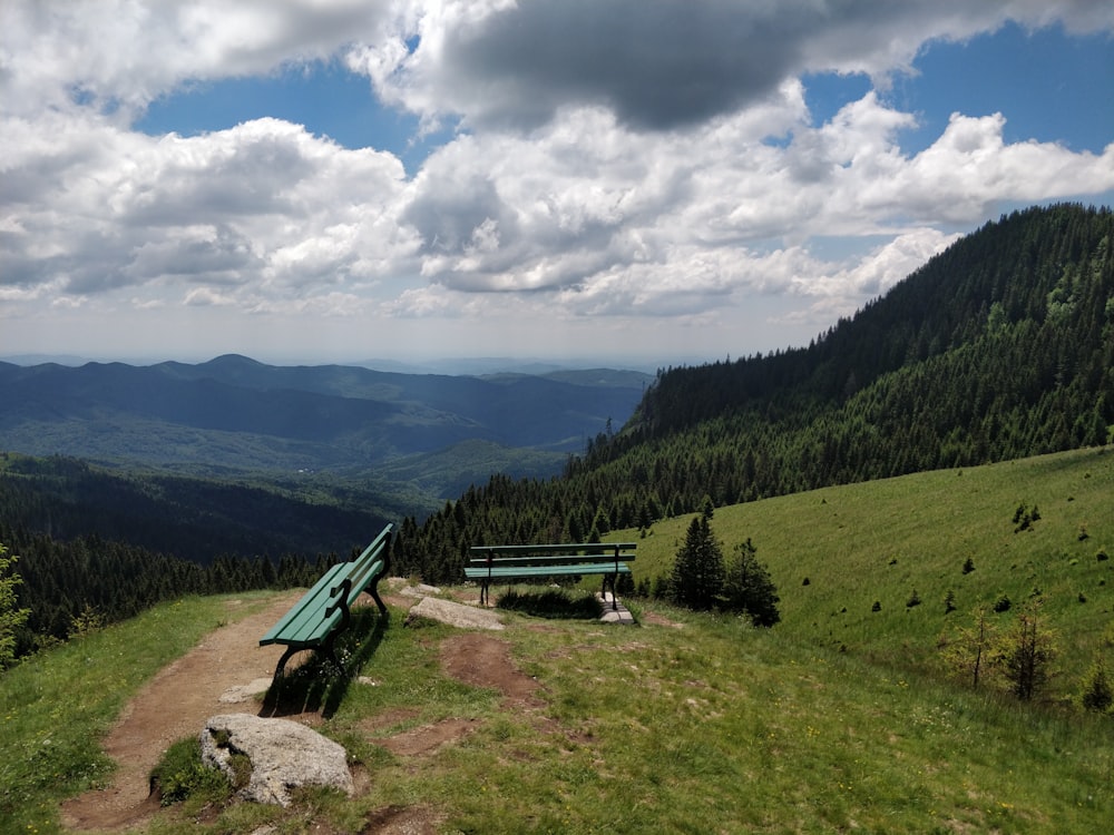 a bench sits on a hill