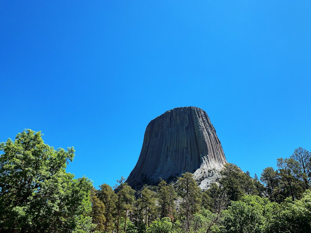 a tall pyramid surrounded by trees with Devils Tower in the background