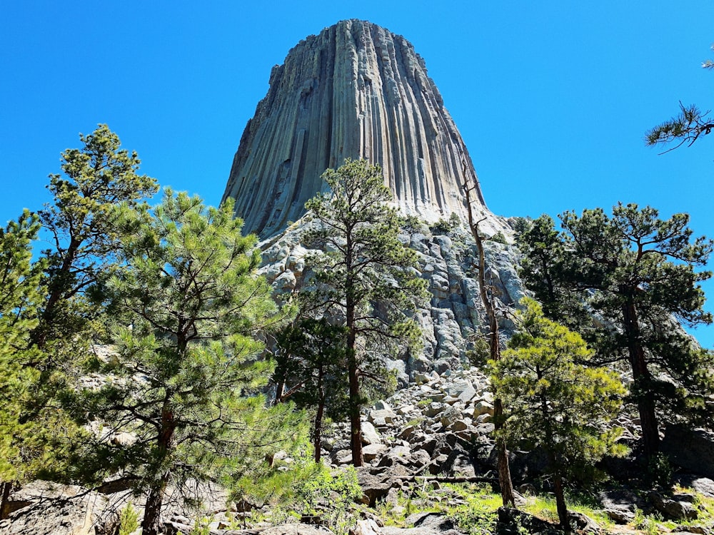 a tall pyramid with trees around it with Devils Tower in the background