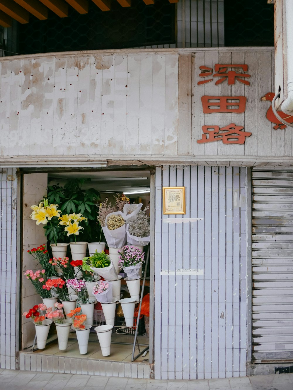 a window with flowers in it