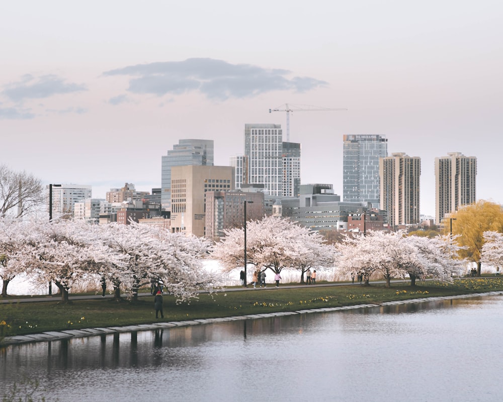 a body of water with trees and buildings in the background