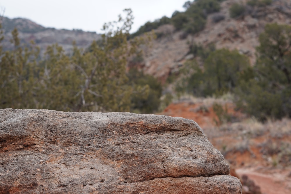 a large rock with trees in the background