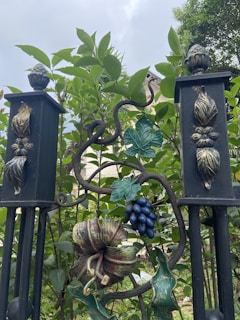A decorative wrought iron gate features intricate designs of fruit and foliage. Grape clusters and a large, detailed flower are prominent in the center. The gate is surrounded by lush green leaves and shrubbery, with a partially visible building in the background.