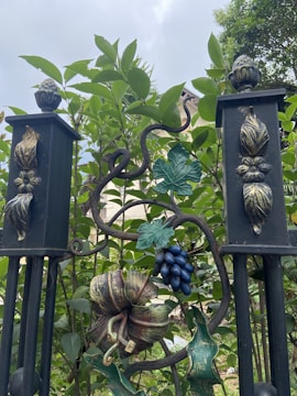 A decorative wrought iron gate features intricate designs of fruit and foliage. Grape clusters and a large, detailed flower are prominent in the center. The gate is surrounded by lush green leaves and shrubbery, with a partially visible building in the background.