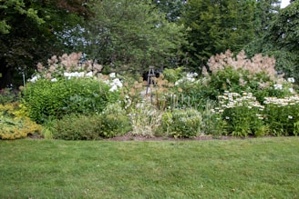 A lush garden scene featuring dense greenery with a variety of plants and flowers. Central to the image is a bed of mixed flora, including white and pinkish blooms, with a small wooden garden ornament visible in the background. Mature trees surround the garden, offering a serene and verdant backdrop.