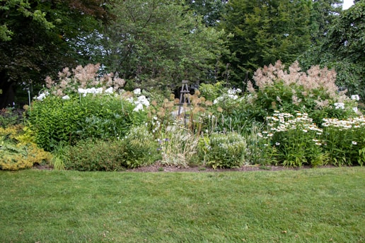 A lush garden scene featuring dense greenery with a variety of plants and flowers. Central to the image is a bed of mixed flora, including white and pinkish blooms, with a small wooden garden ornament visible in the background. Mature trees surround the garden, offering a serene and verdant backdrop.