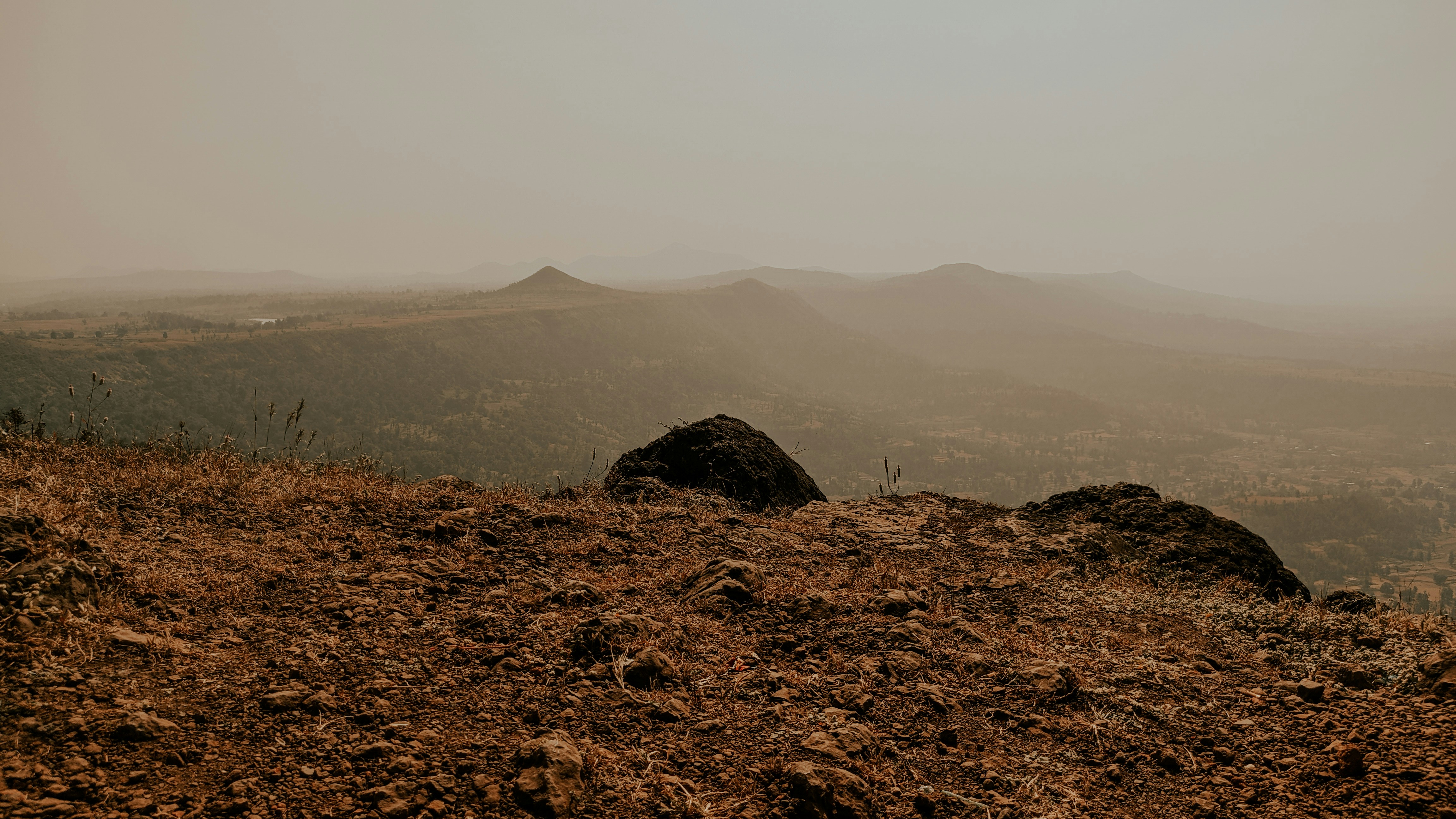 Language Evolution in Low Gravity (image credits: unsplash)