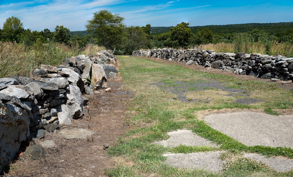 a rocky path with trees in the background