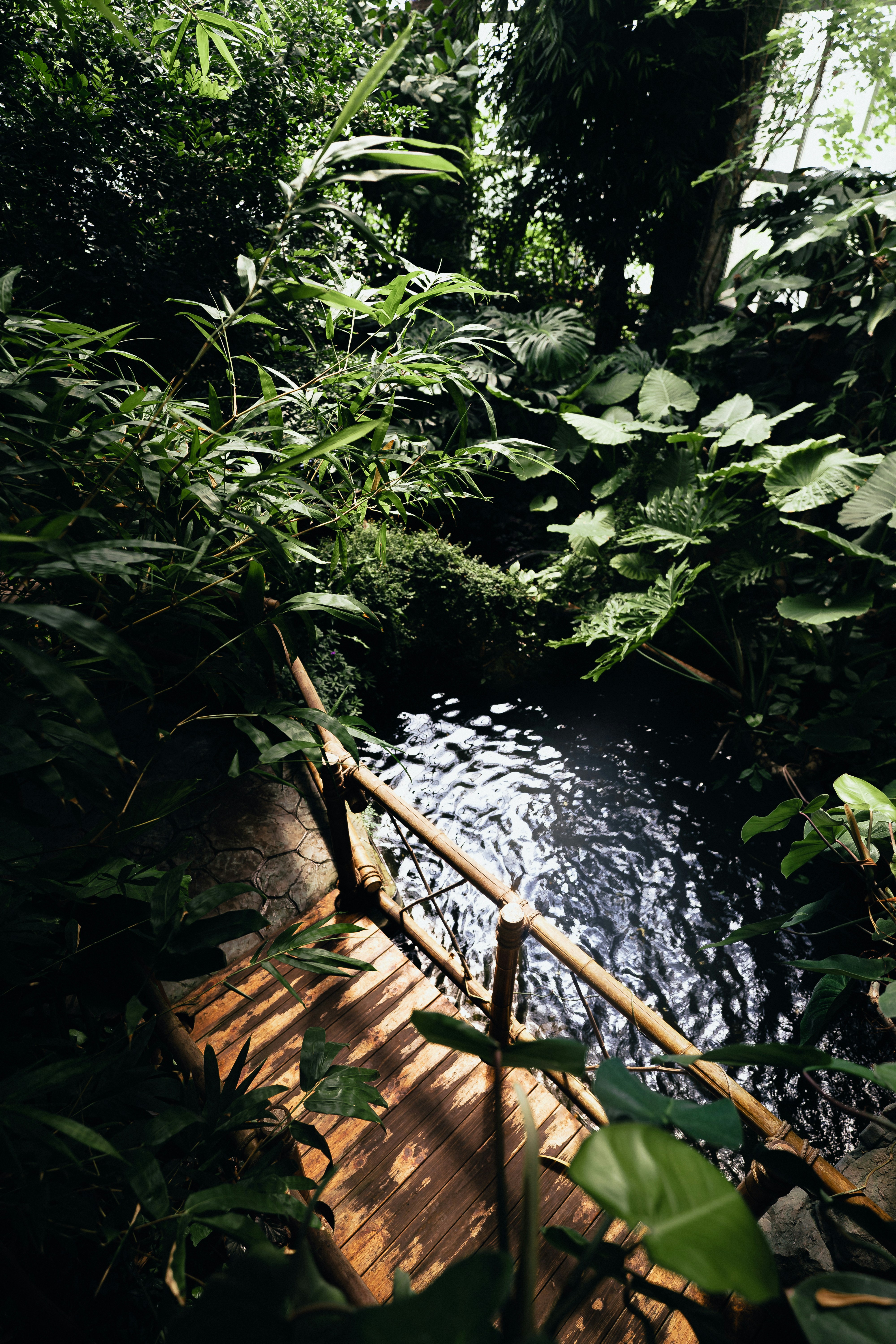 Photo by maksym_tymchyk