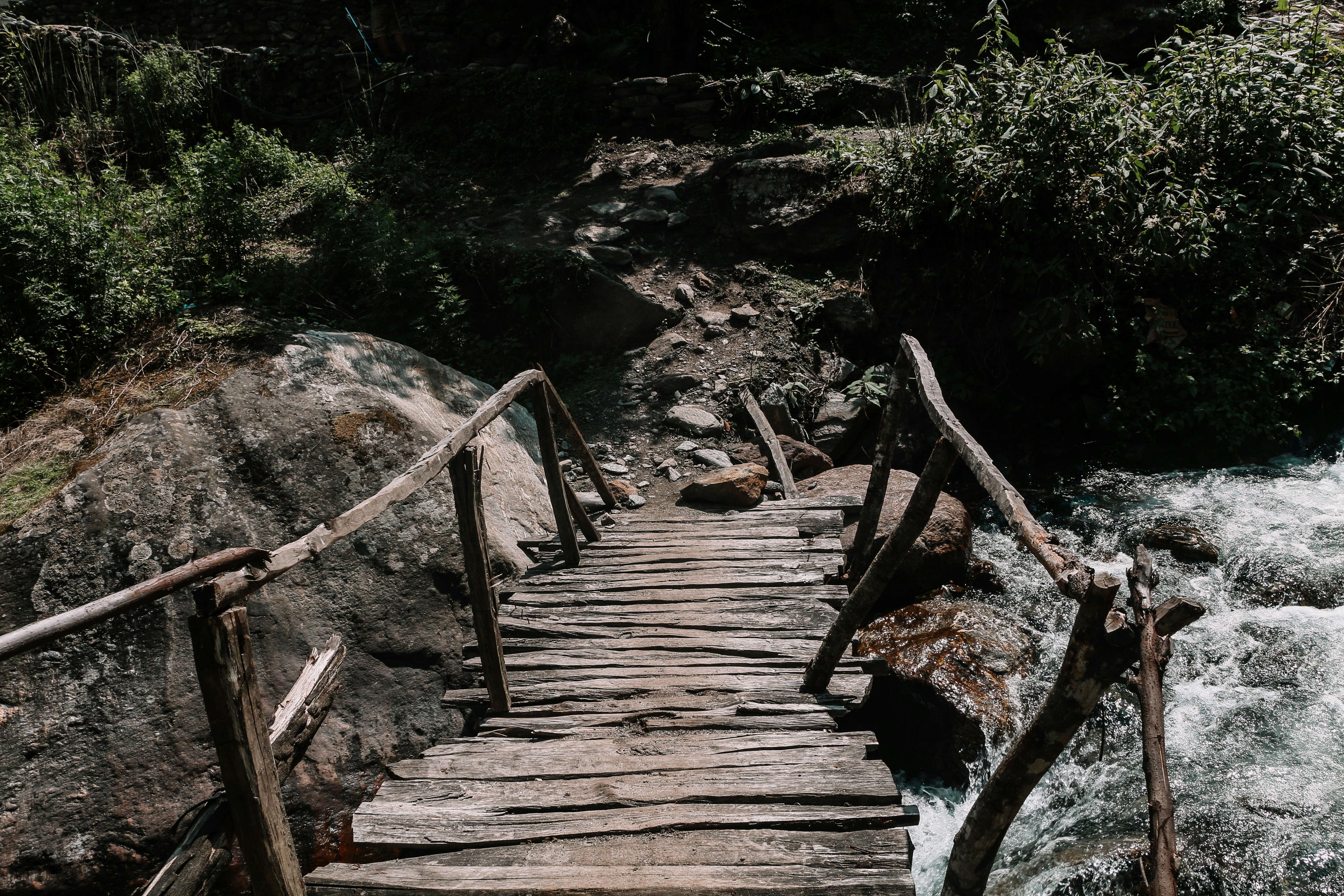 Photo by neha1301039