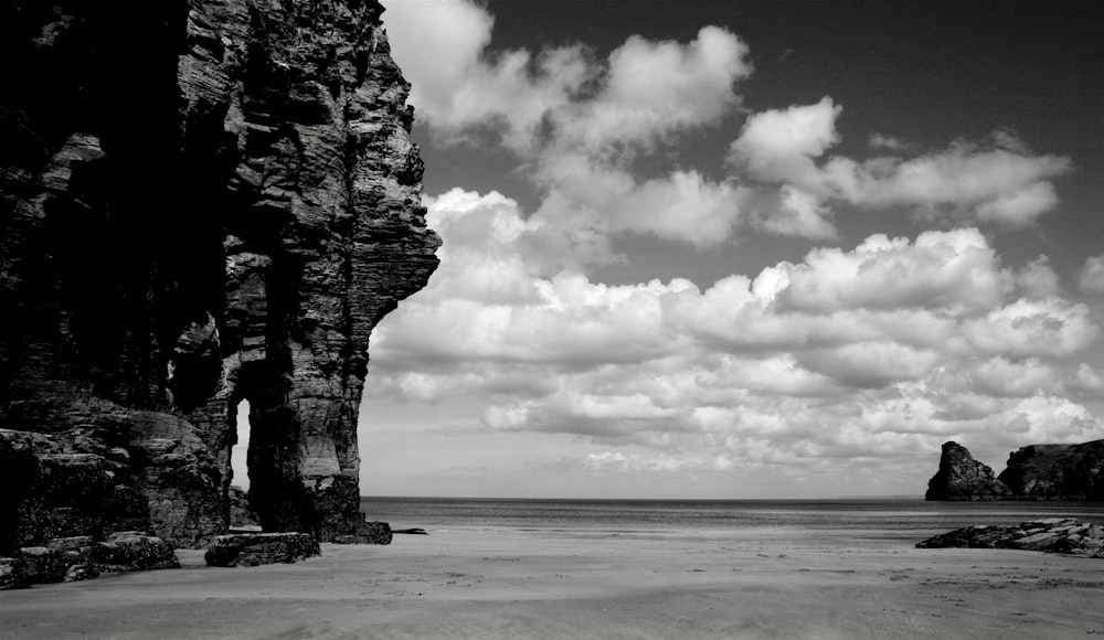 a rocky beach with a large tree