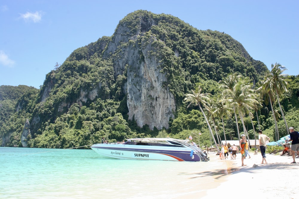 a boat on the beach