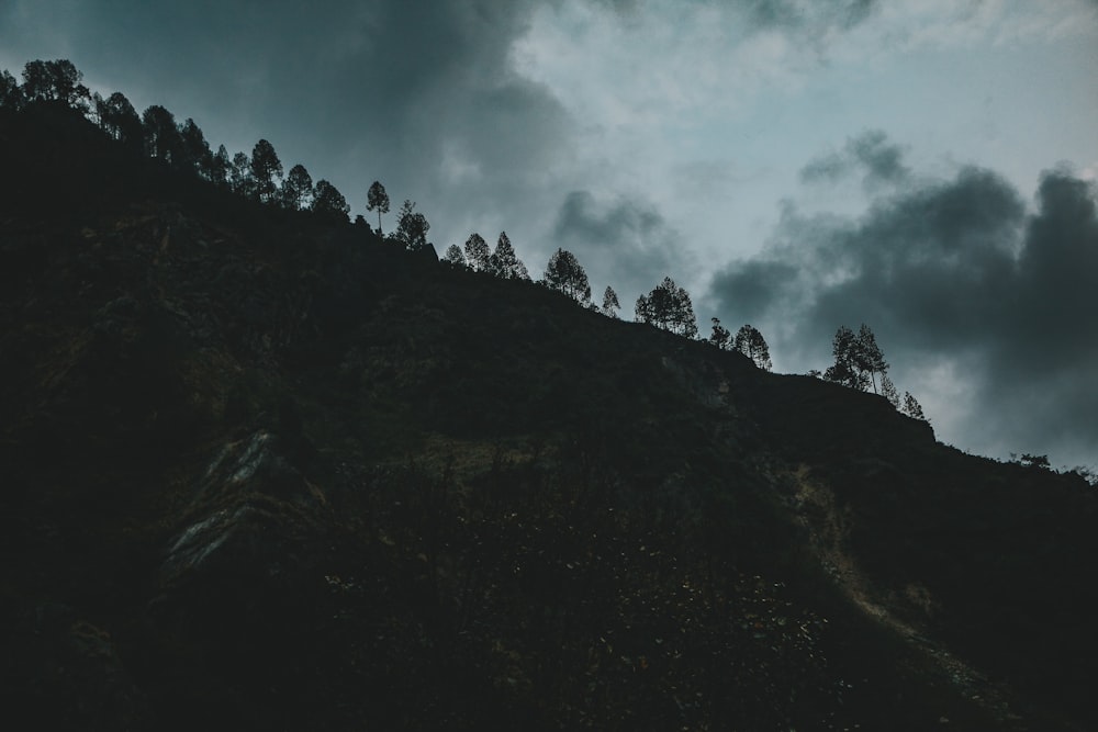 a foggy mountain with trees