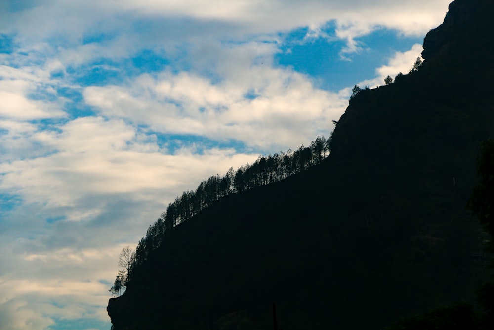 a mountain with trees on it