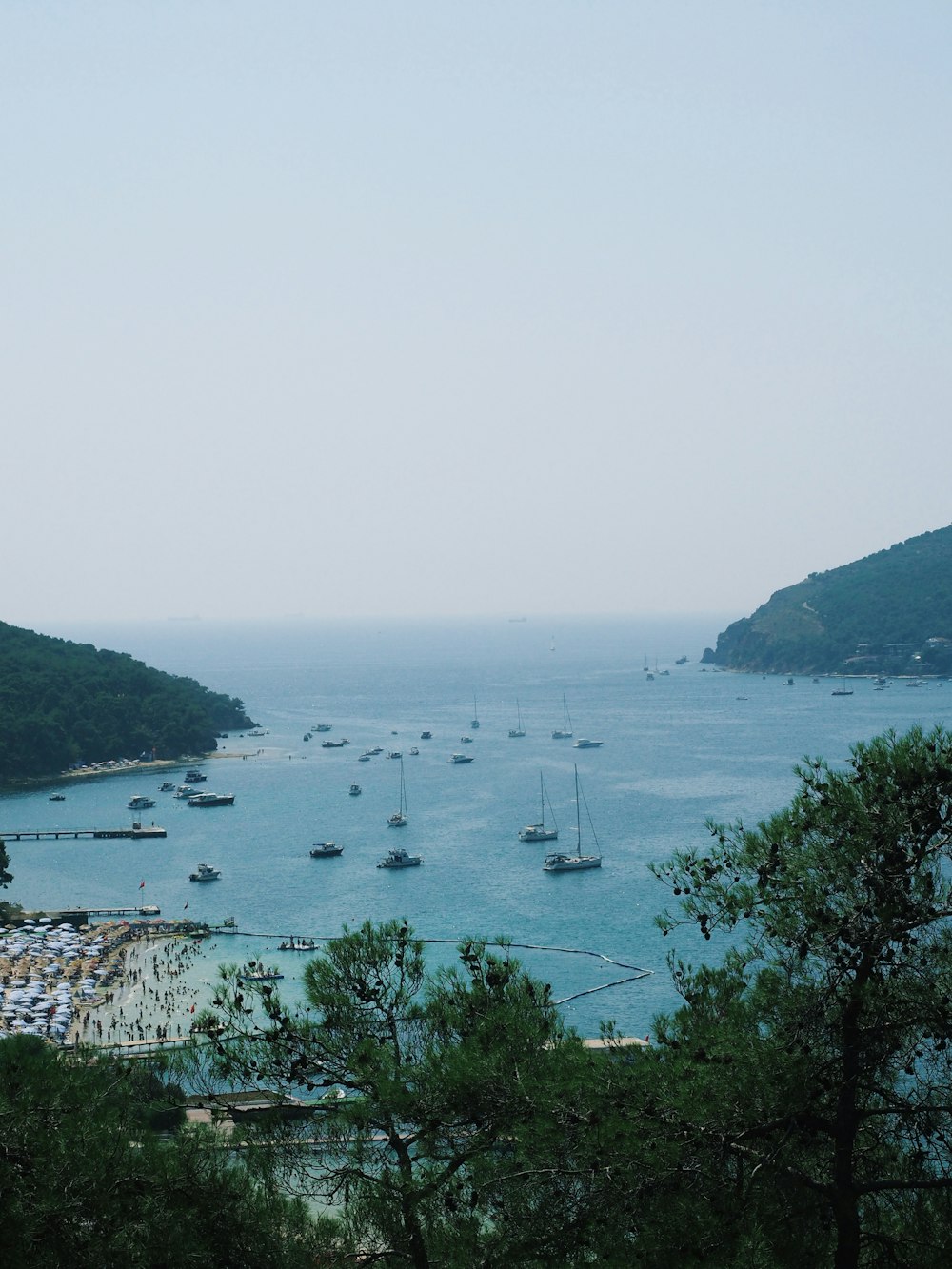 a body of water with boats in it and trees around it