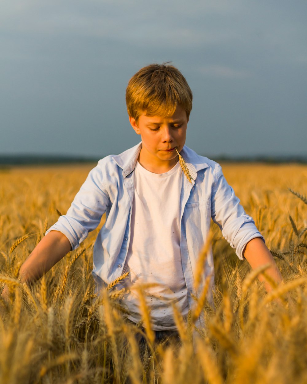 a boy standing in a field of wheat