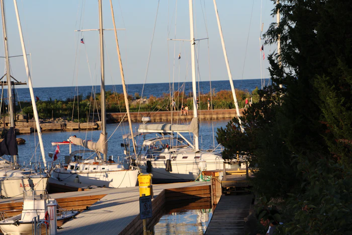 Sailboats docked at a small marina