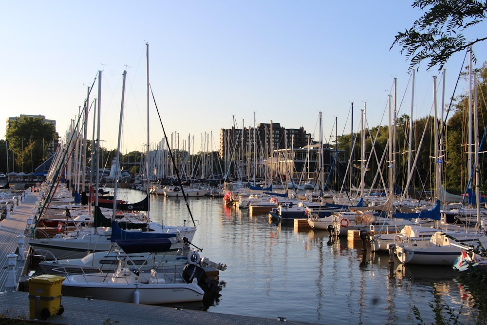 a marina full of boats