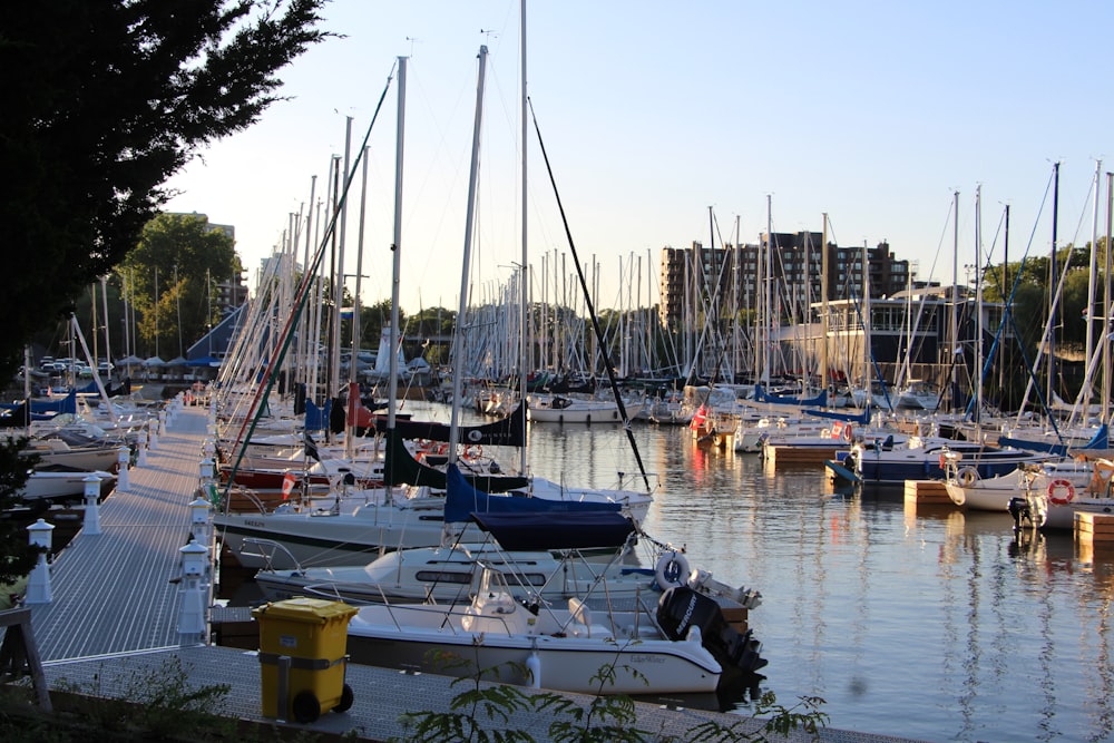 a marina full of boats