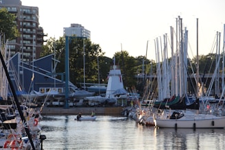 a group of boats sit in a harbor