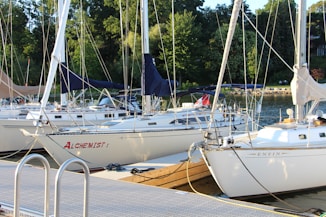 a group of boats docked