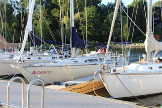 a group of boats docked
