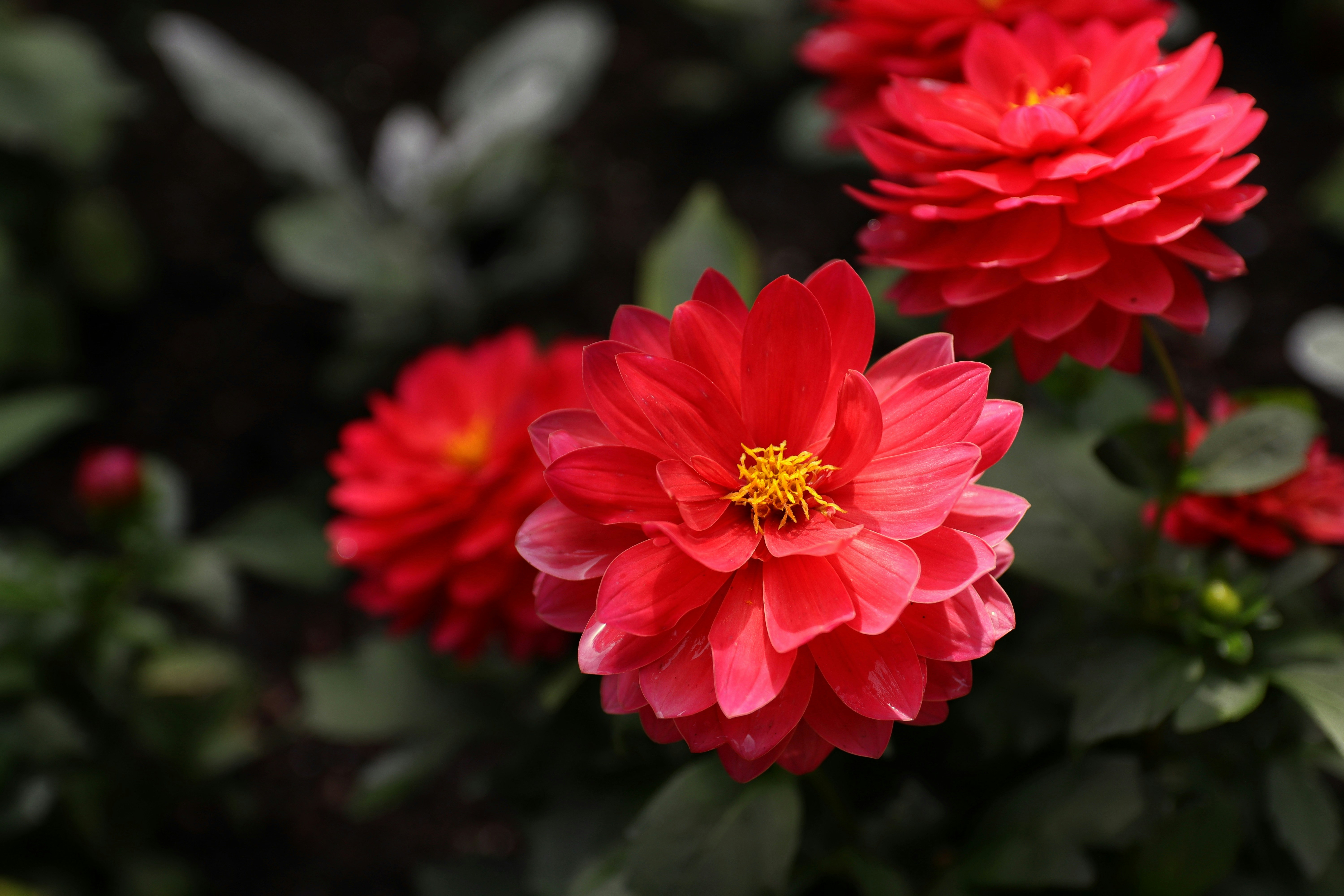 Photo by m_mendez_ix