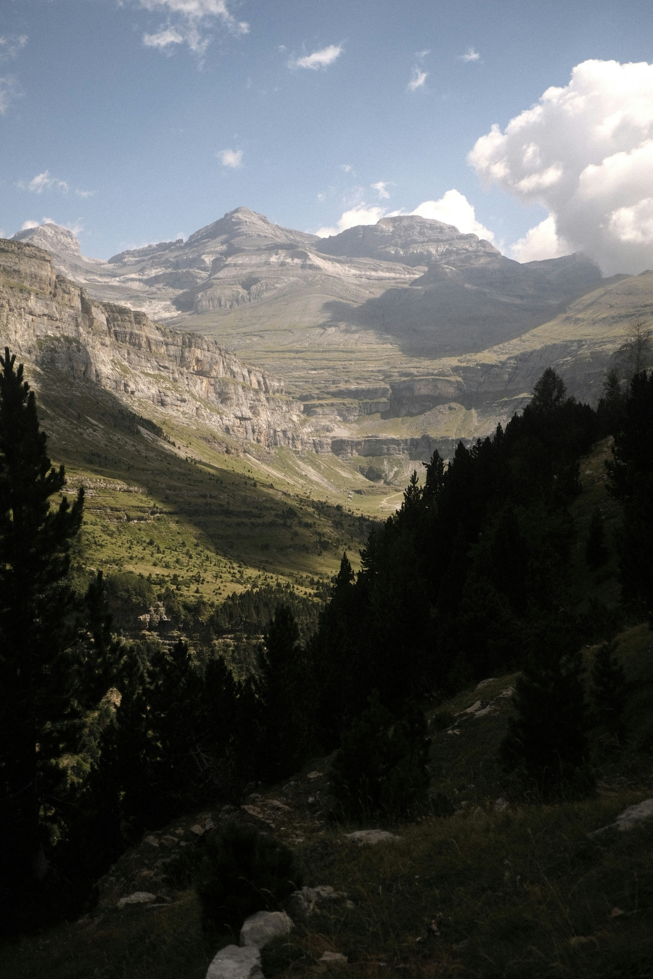 A valley with trees and mountains in the background photo – Free Image ...