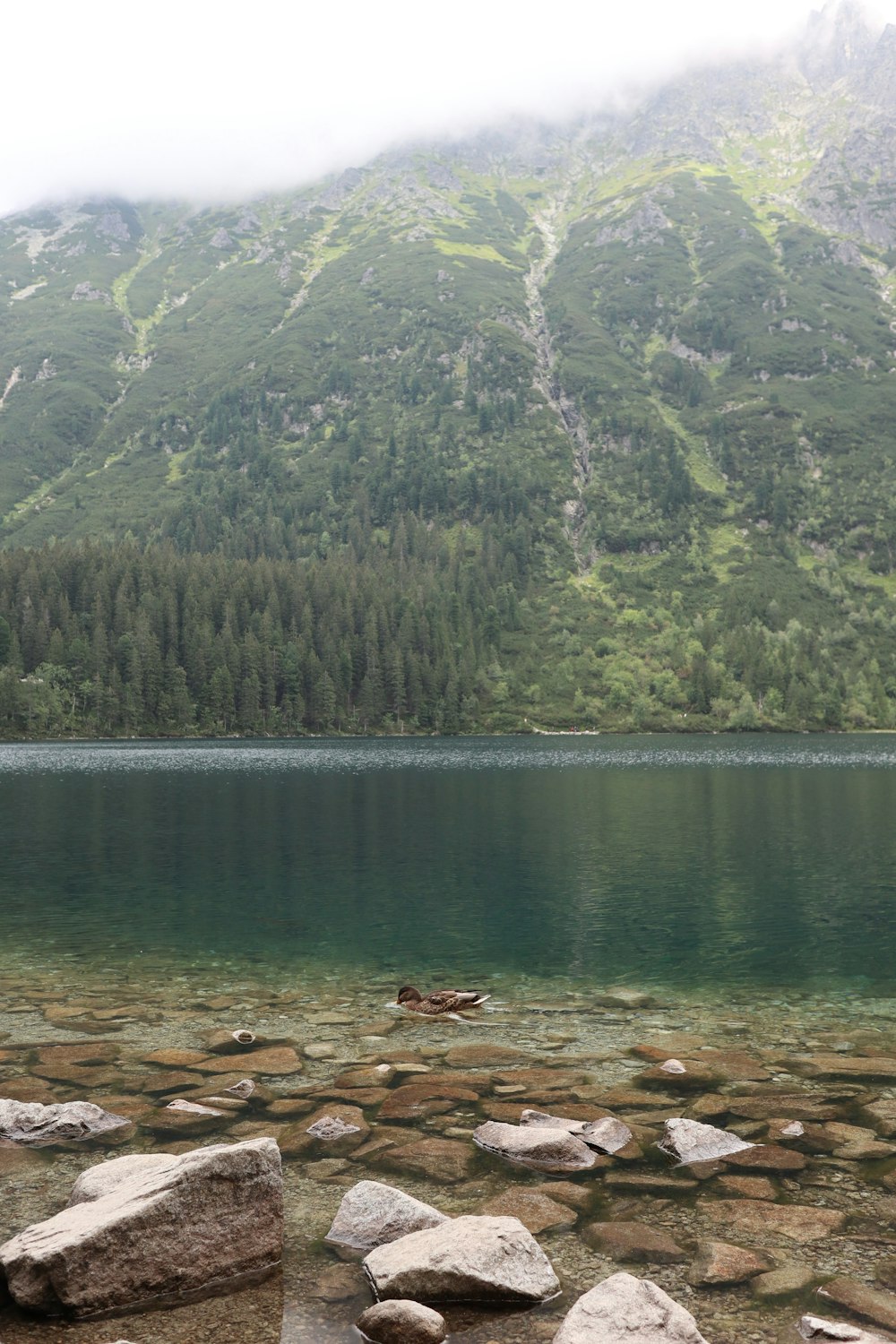 a lake with rocks and trees