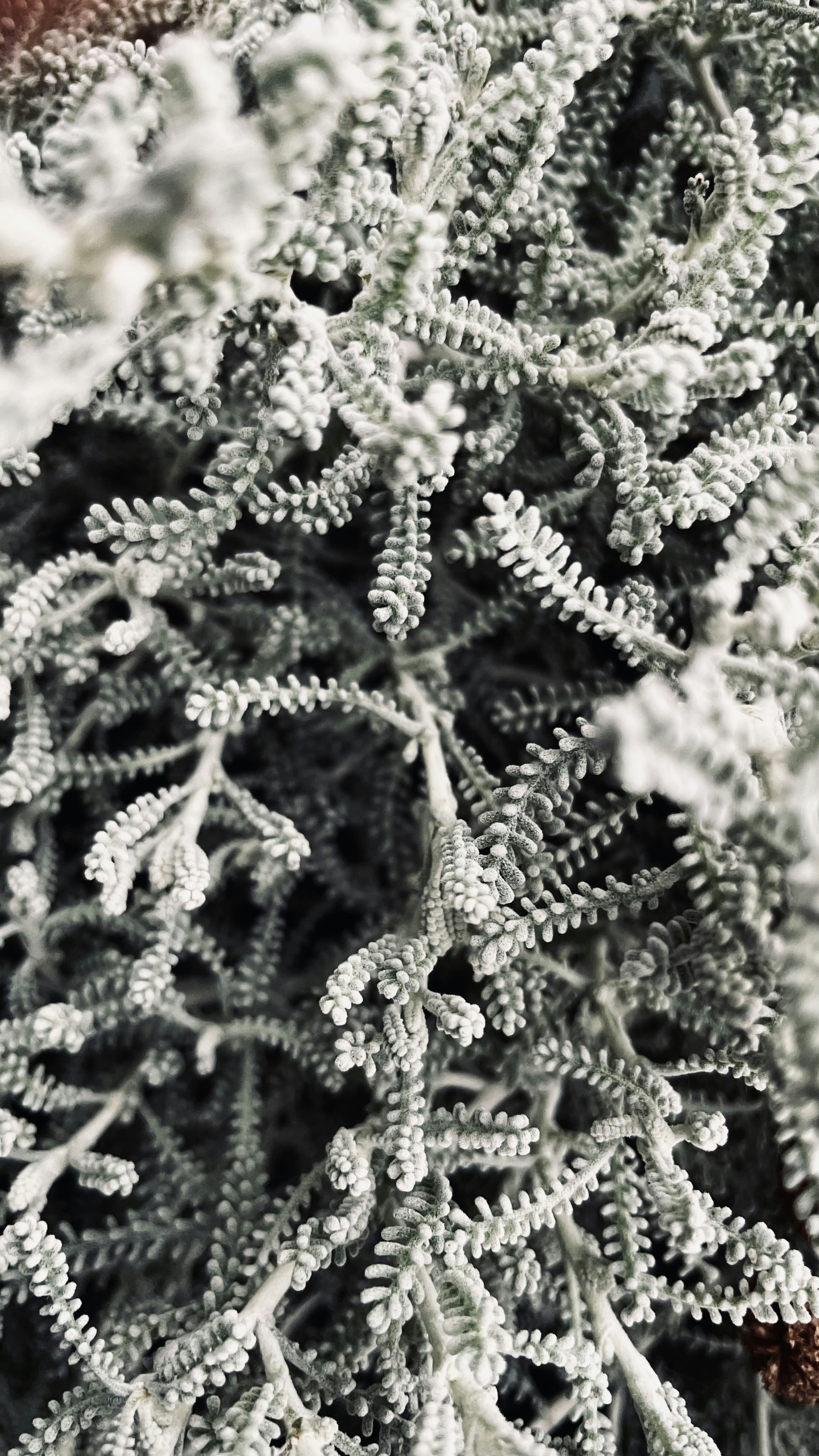 Photo by _mohamed_sajad_