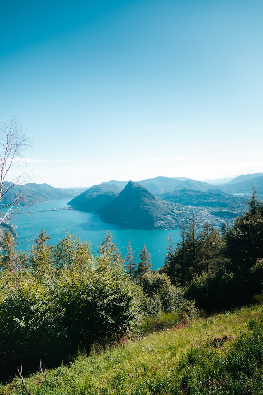 a body of water surrounded by trees and mountains