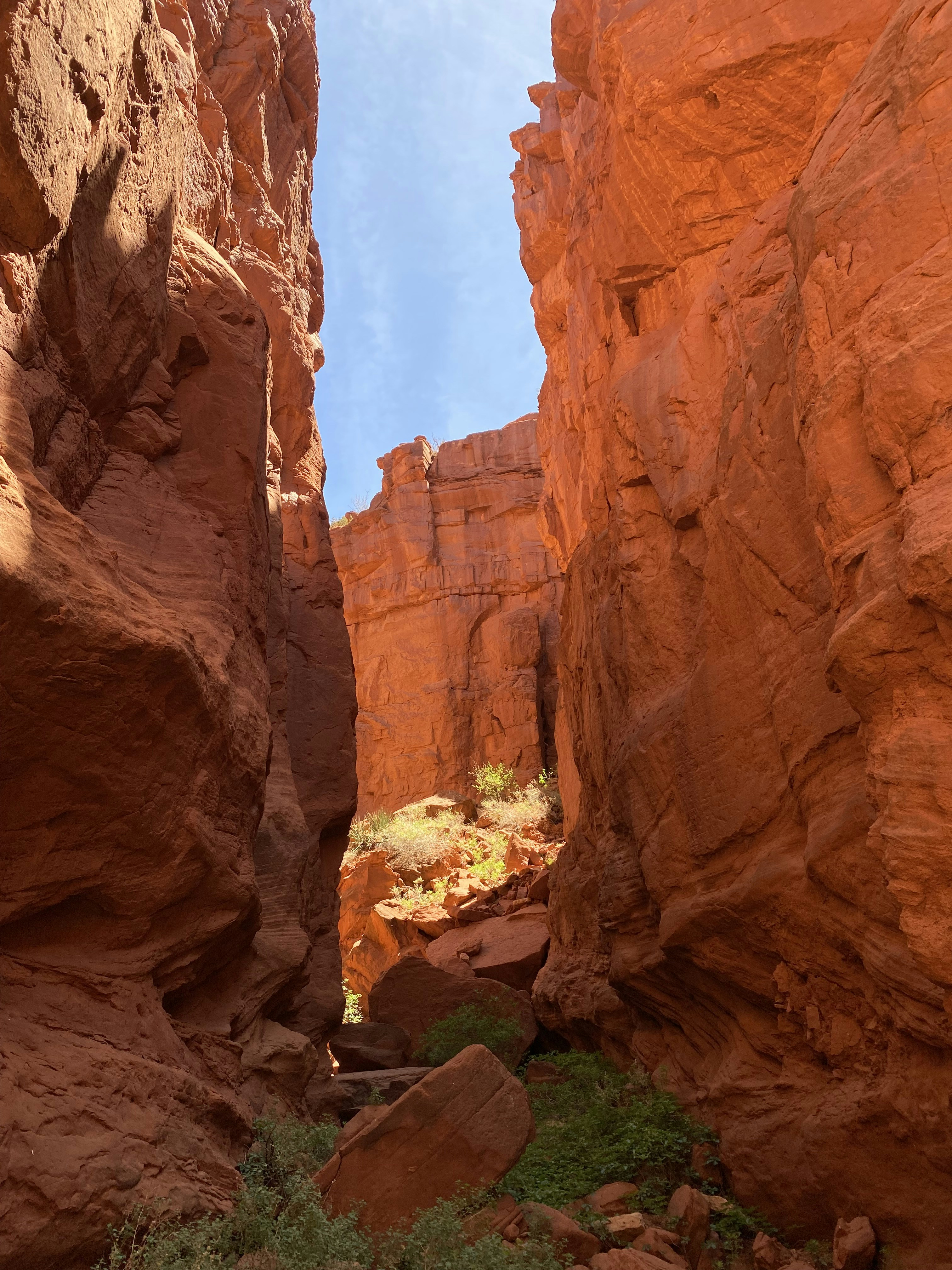 Photo by cantubriana1