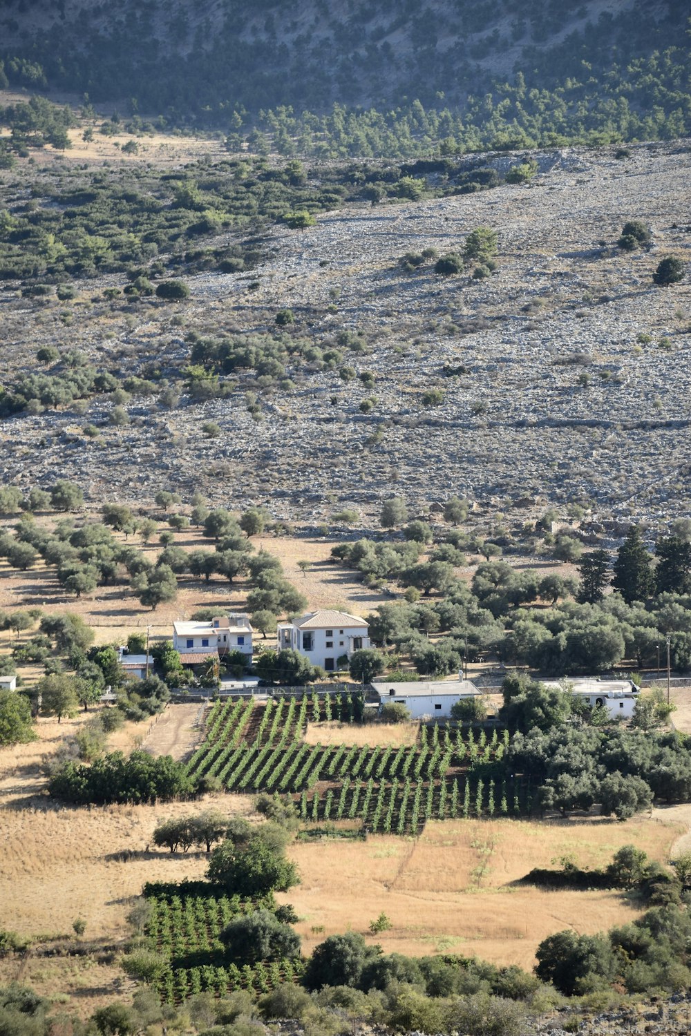 Un paisaje con edificios y árboles