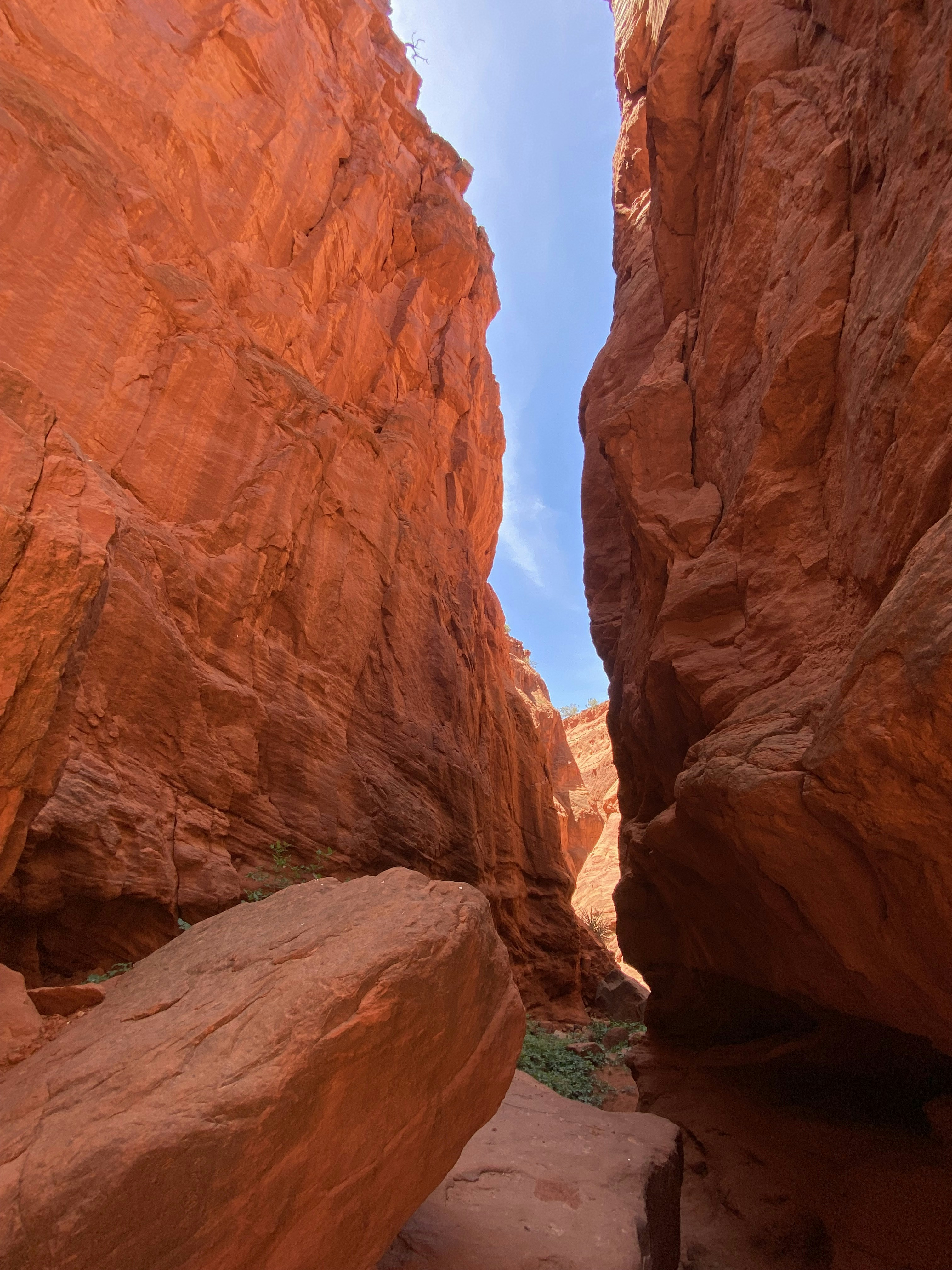 Photo by cantubriana1